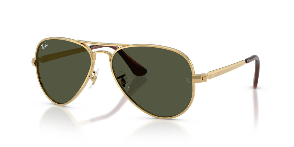 Ray-Ban Aviator Max RB3925