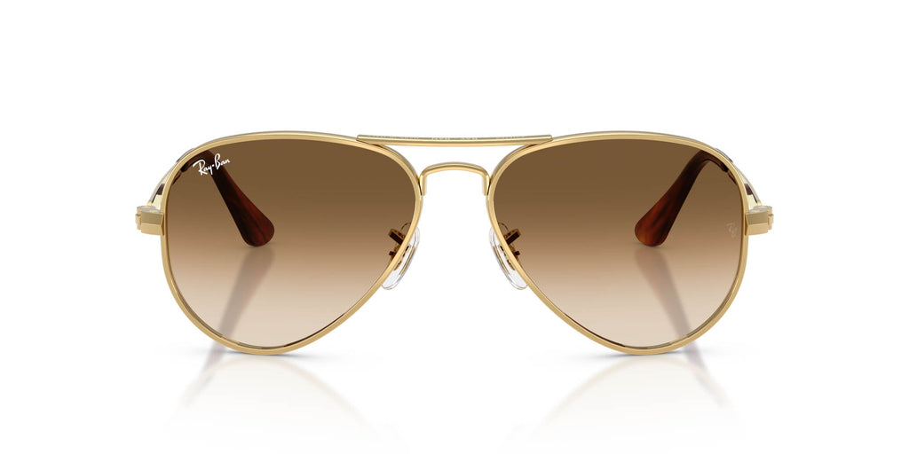 Ray-Ban Aviator Max RB3925