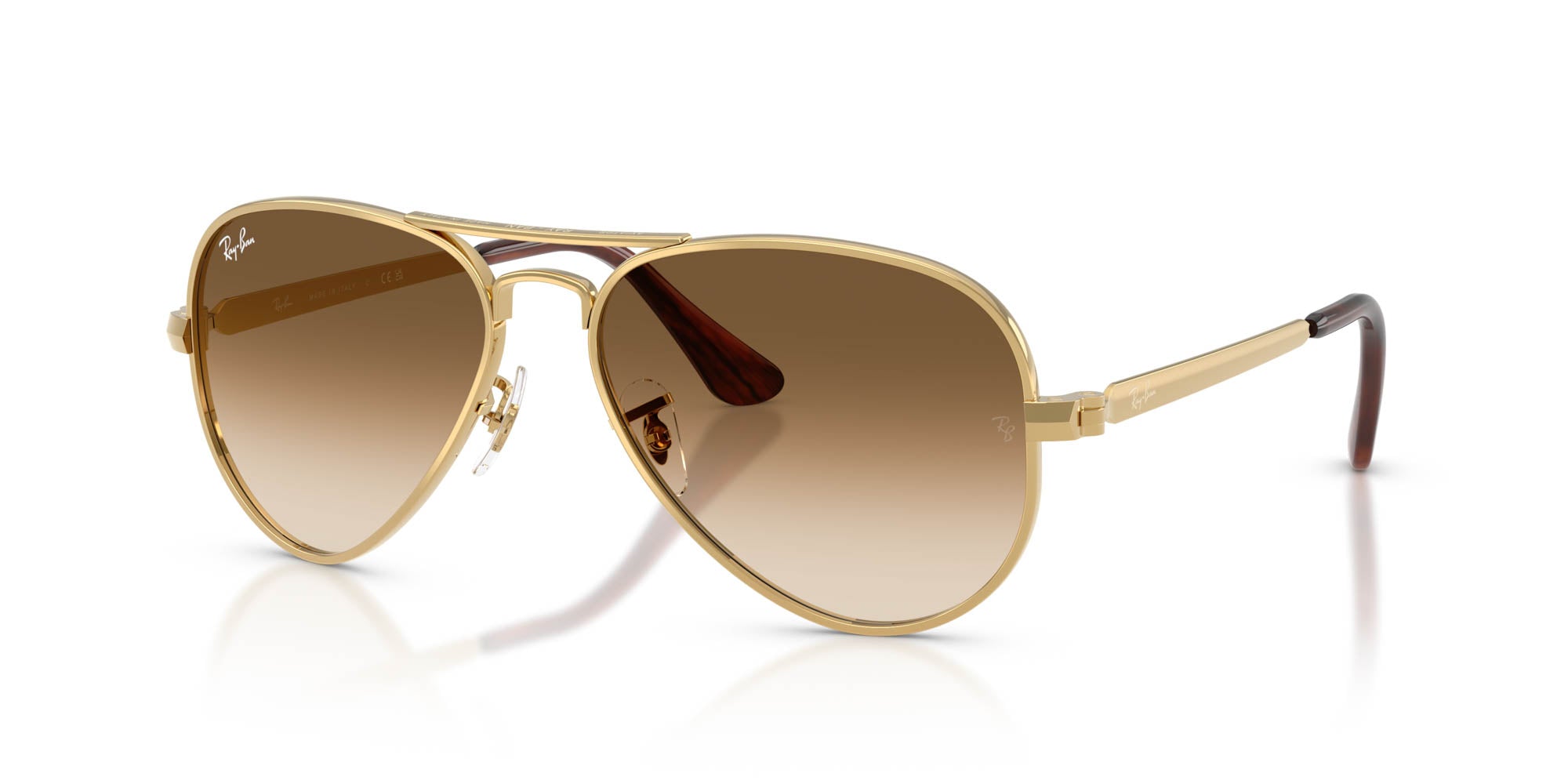 Ray-Ban Aviator Max RB3925
