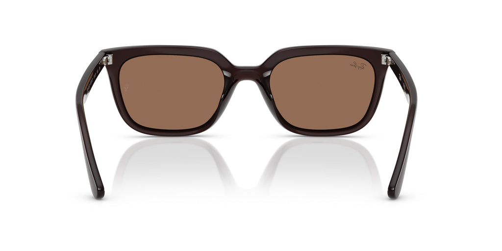 Ray-Ban RB4439D