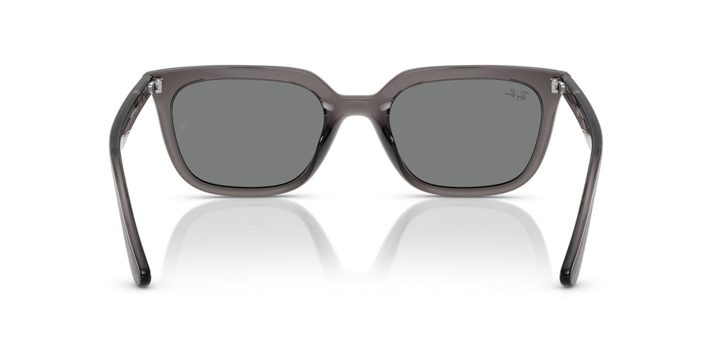Ray-Ban RB4439D