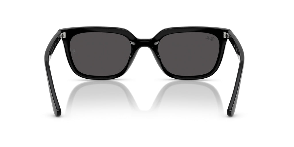 Ray-Ban RB4439D