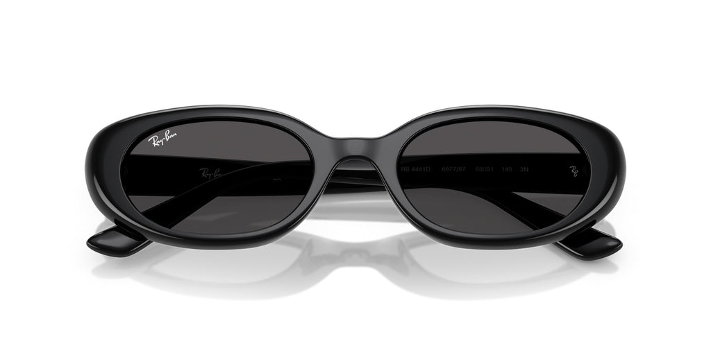 Ray-Ban RB4441D