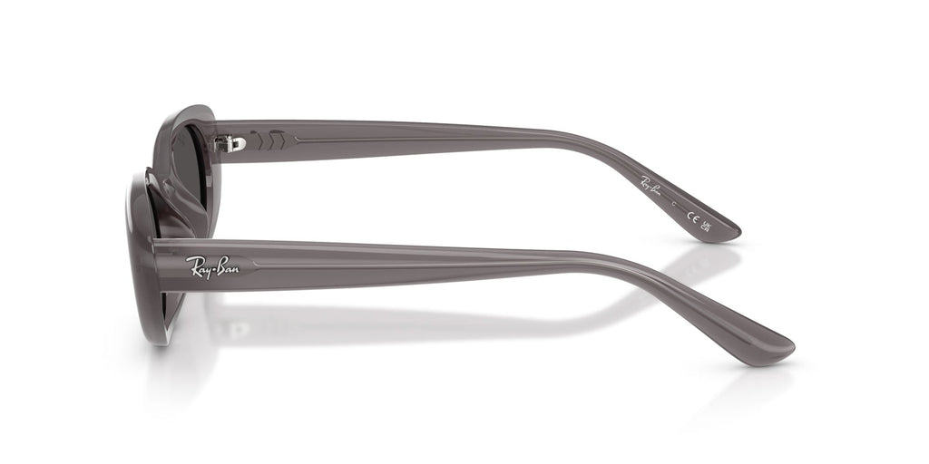 Ray-Ban RB4441D