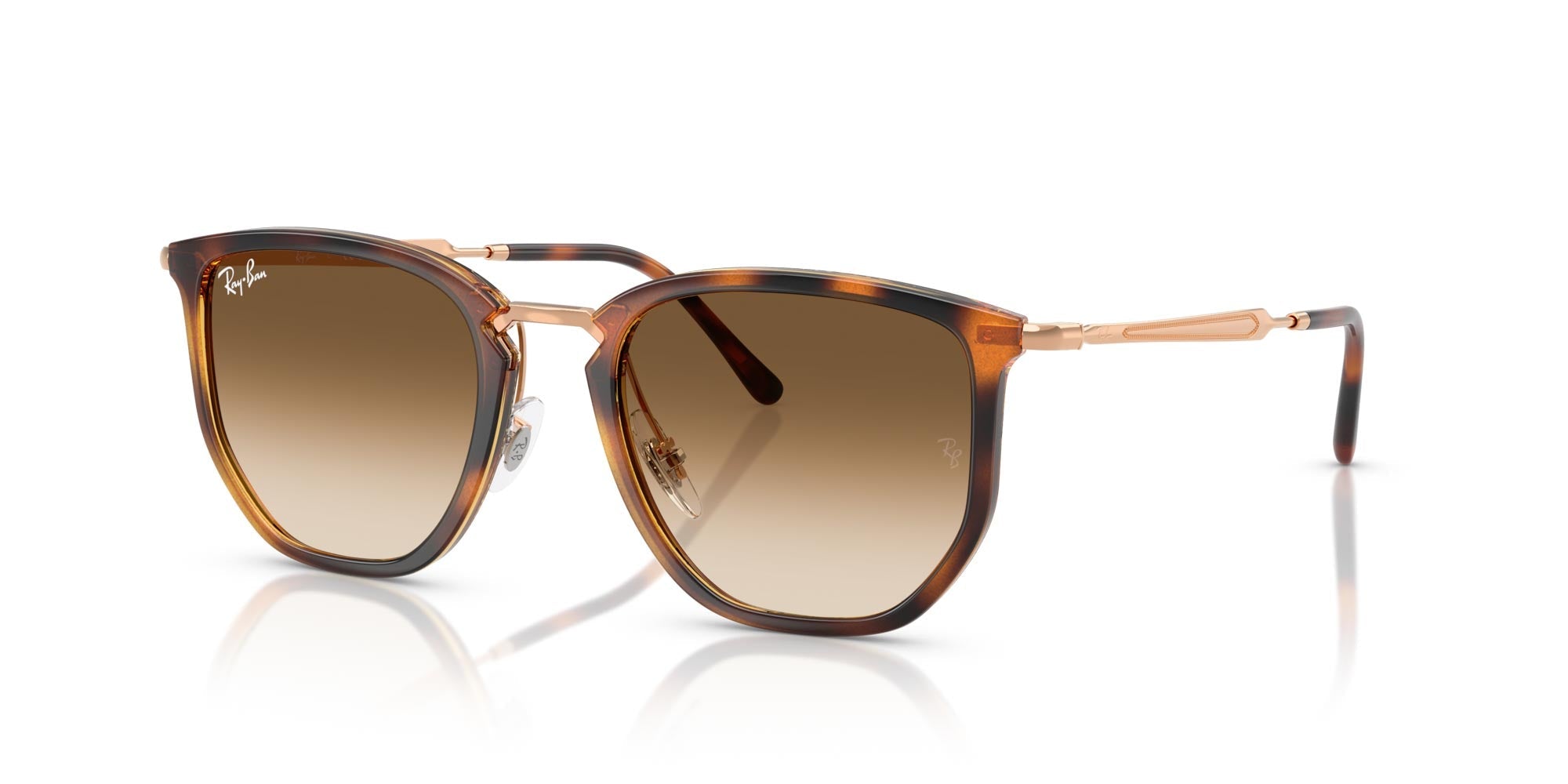 Ray-Ban RB4451