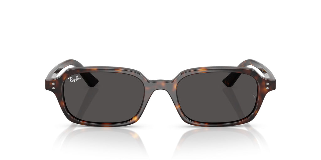 Ray-Ban Zuri RB4455