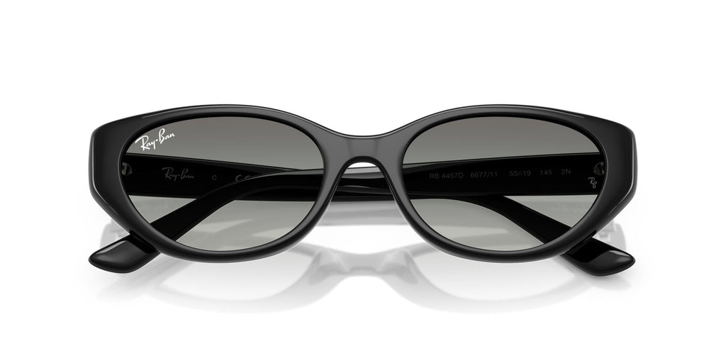 Ray-Ban RB4457D