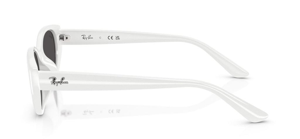 Ray-Ban RB4457D