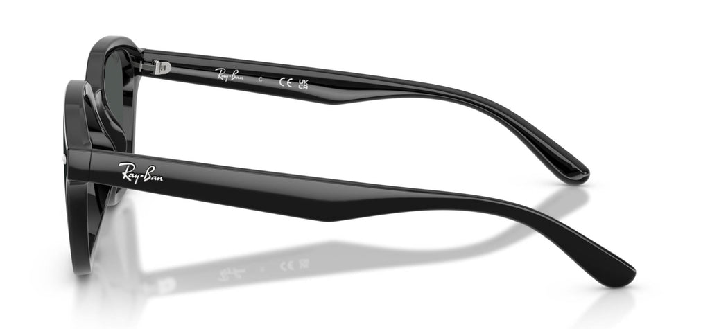 Ray-Ban RB4458D