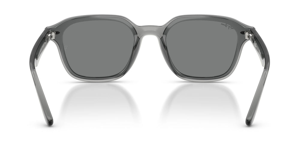 Ray-Ban RB4458D
