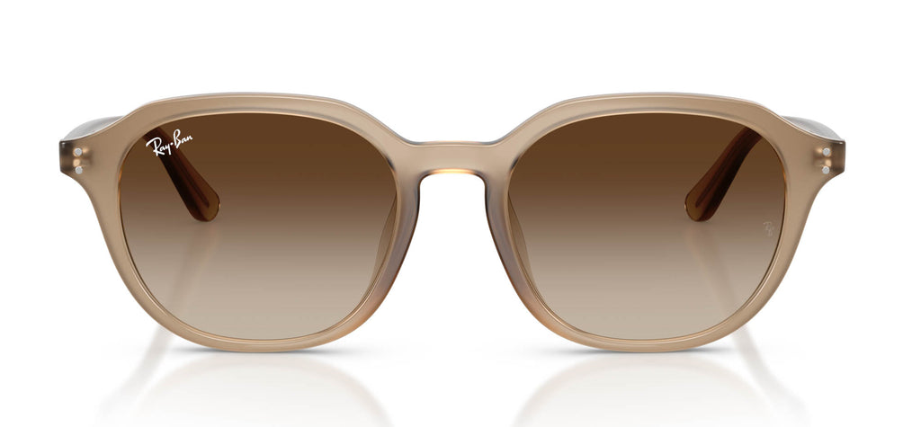 Ray-Ban RB4459D