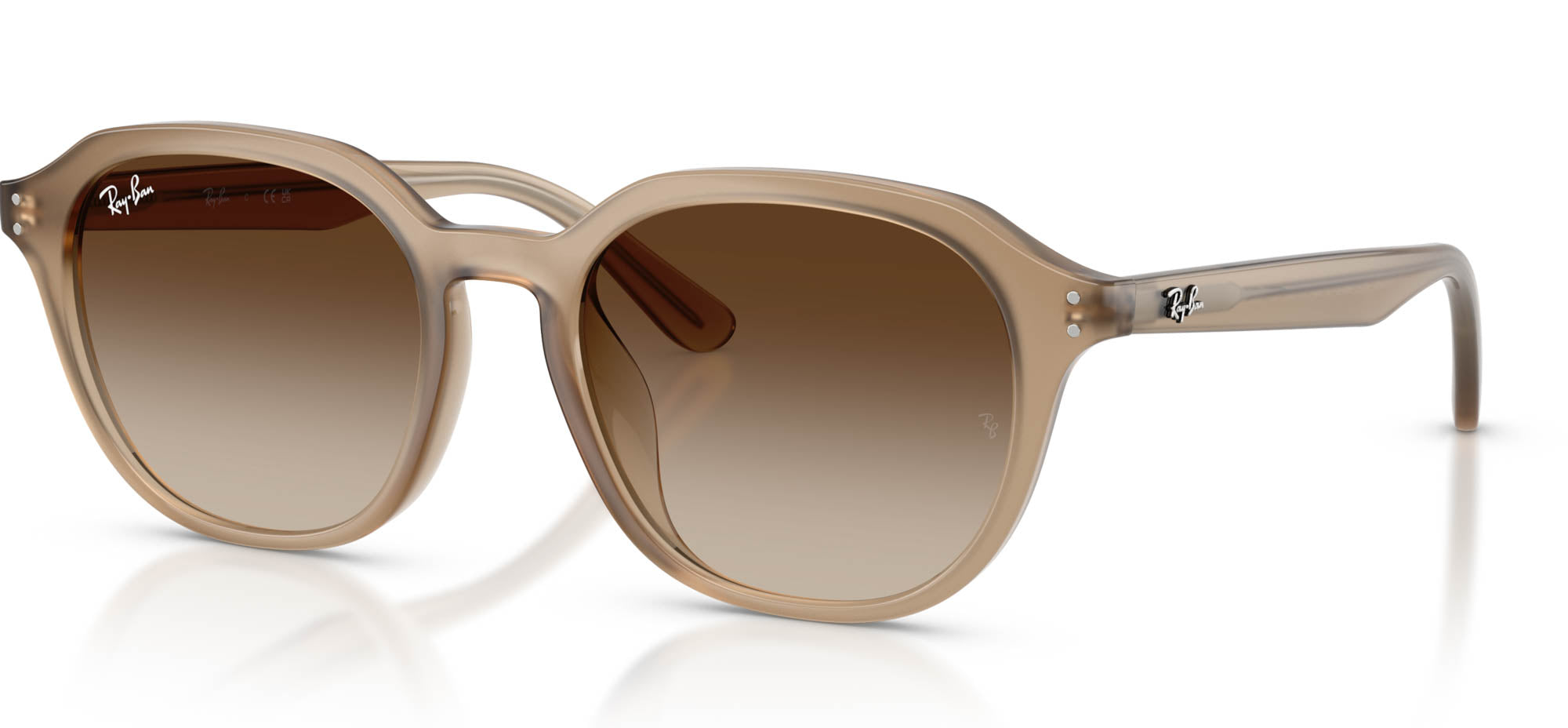 Ray-Ban RB4459D