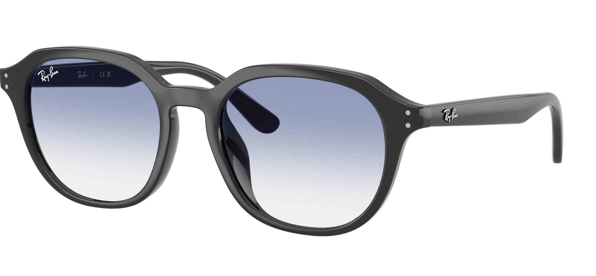 Ray-Ban RB4459D