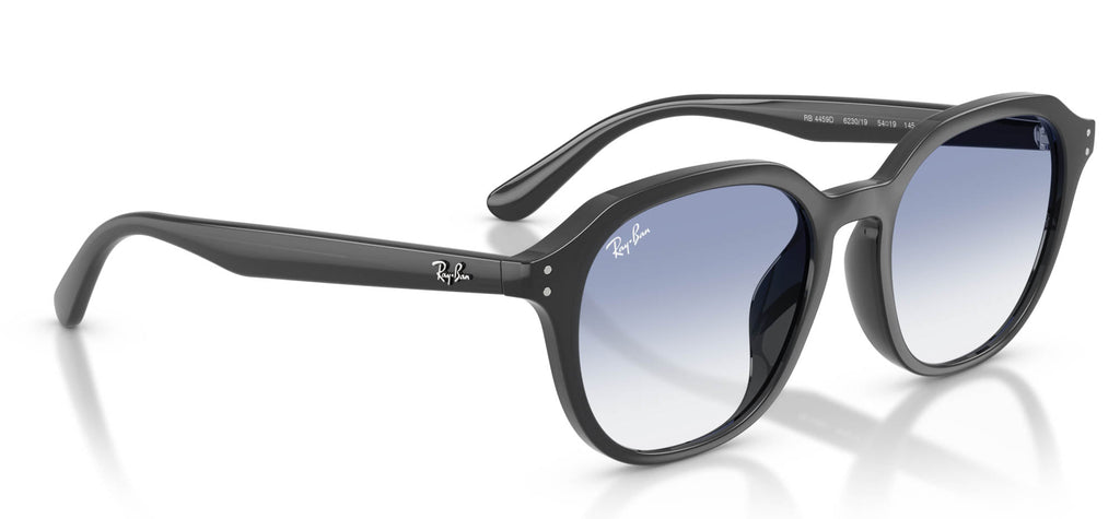 Ray-Ban RB4459D