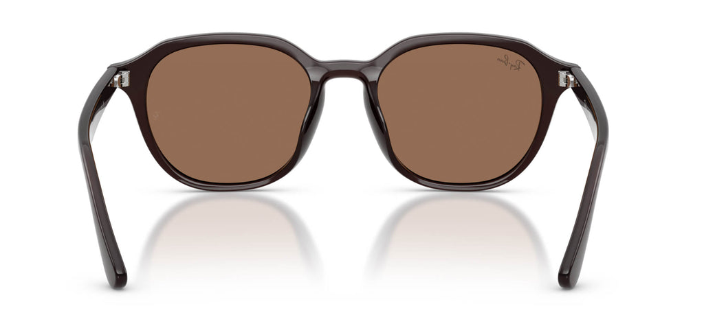 Ray-Ban RB4459D