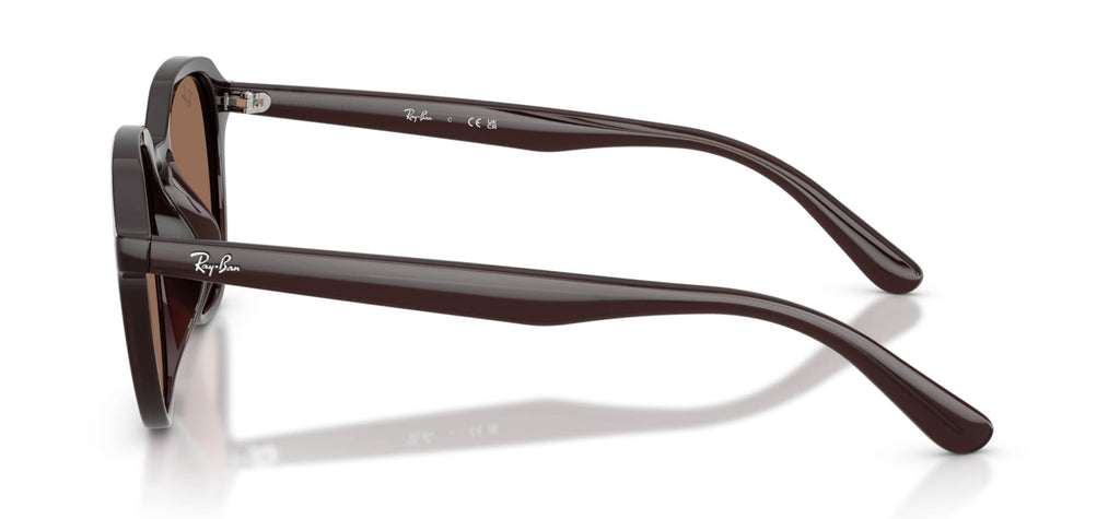 Ray-Ban RB4459D