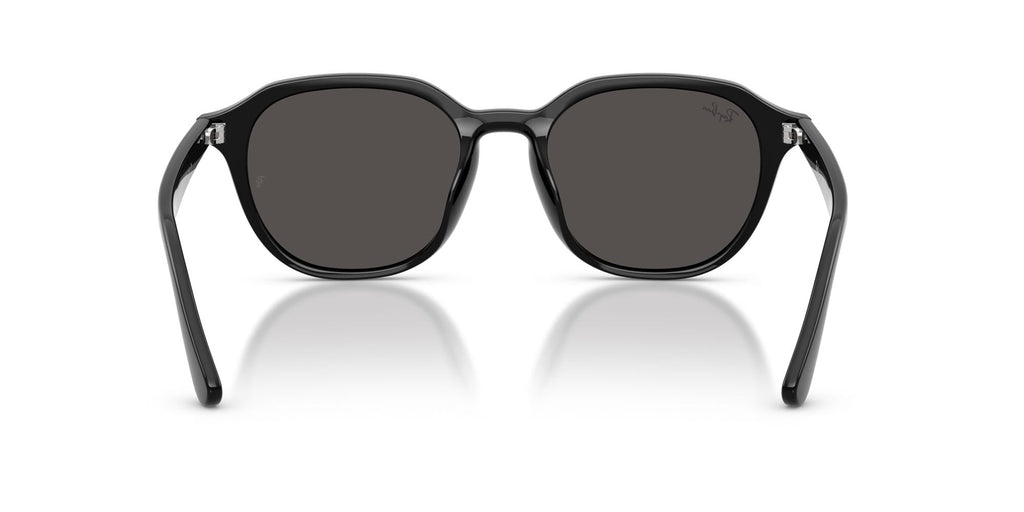 Ray-Ban RB4459D