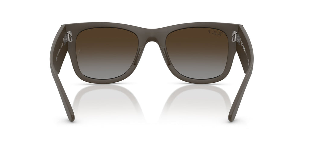 Ray-Ban RB4840S