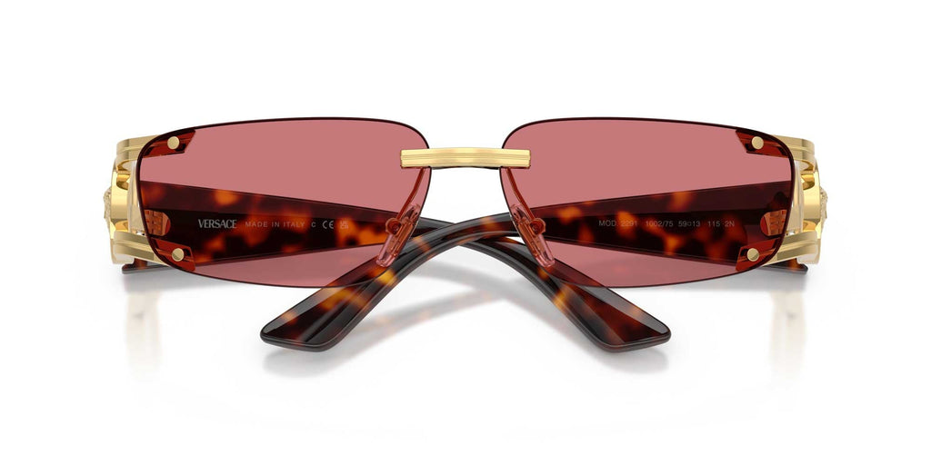 Versace VE2291