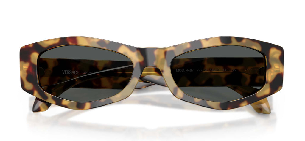 Versace VE4487