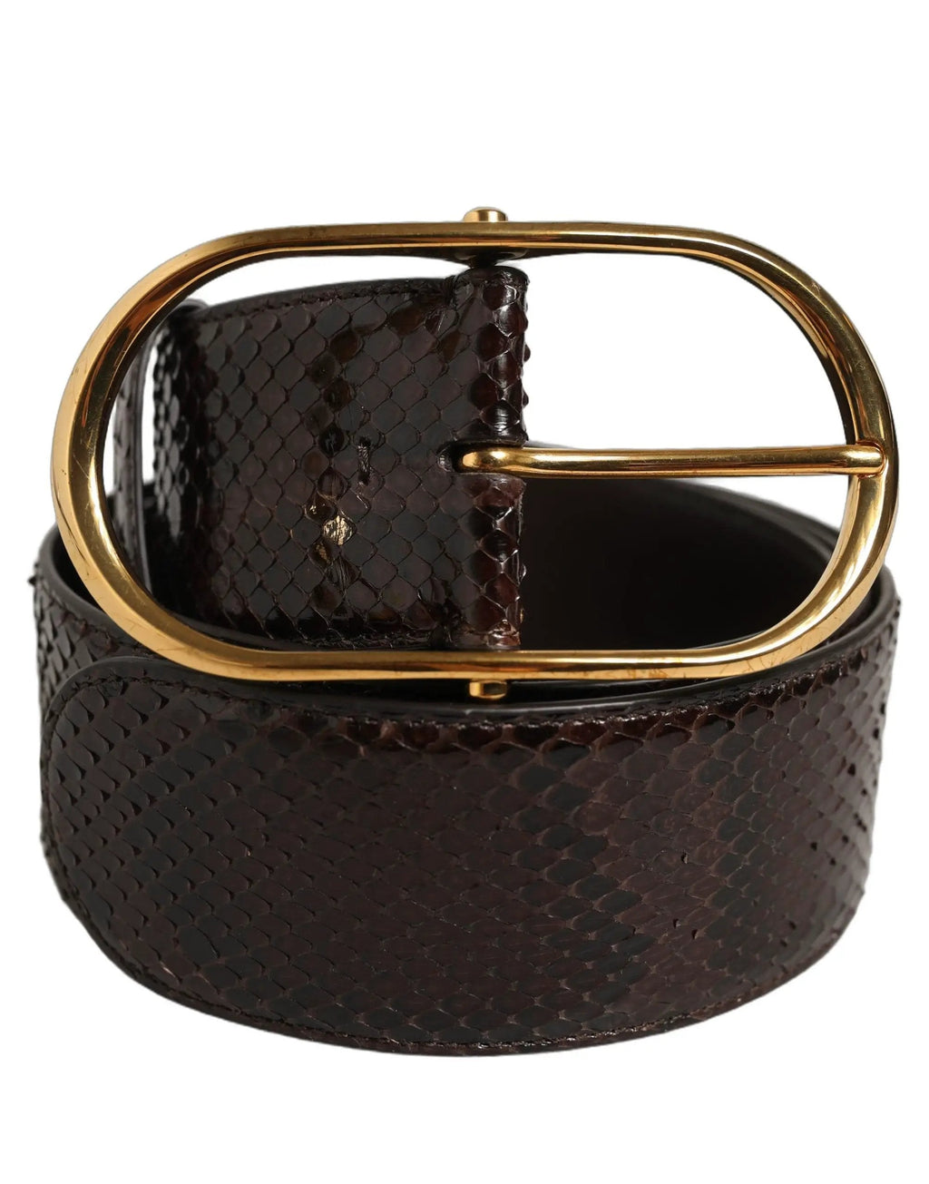 Dolce & Gabbana Brown Python Leather Gold Metal Buckle Belt