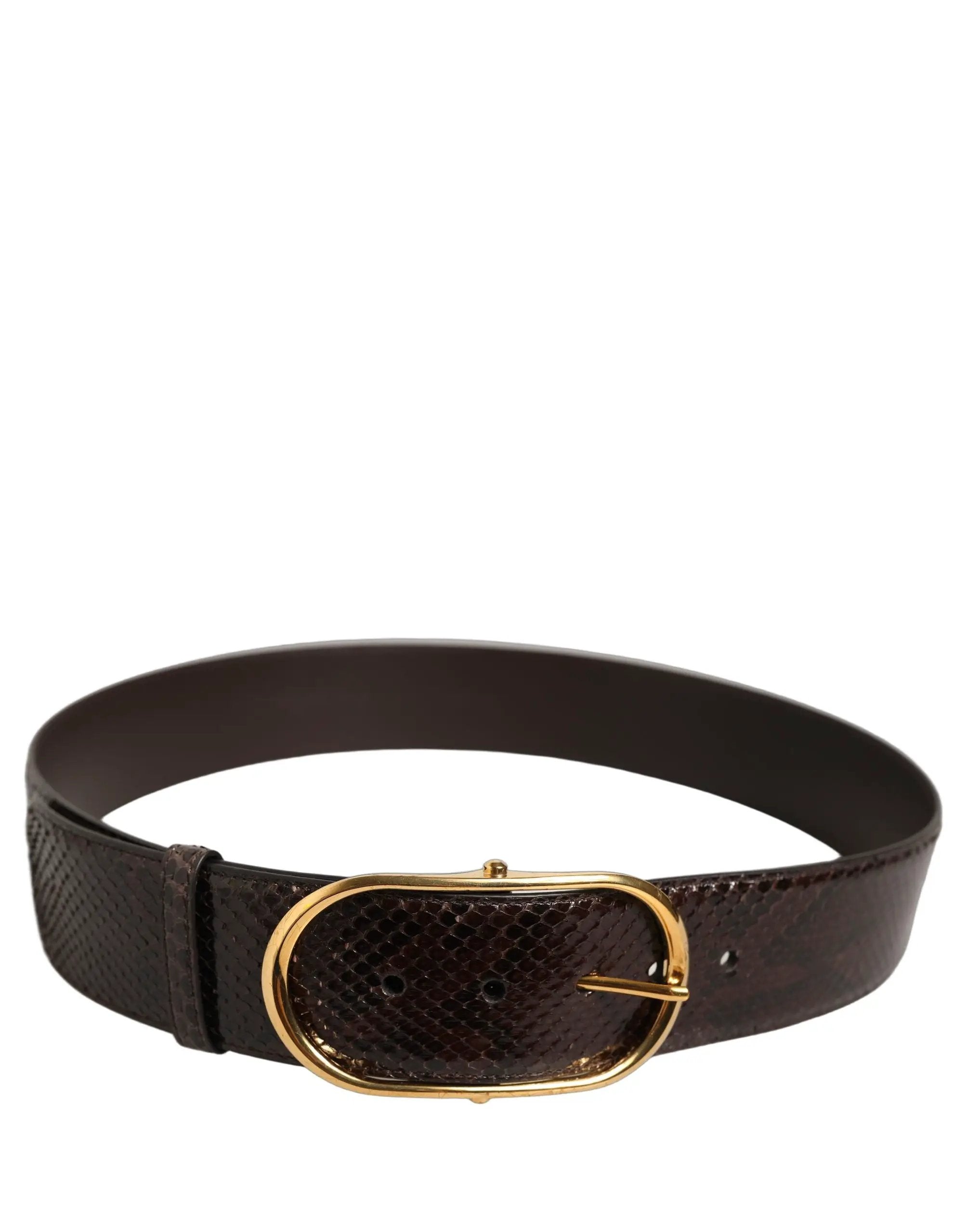 Dolce & Gabbana Brown Python Leather Gold Metal Buckle Belt