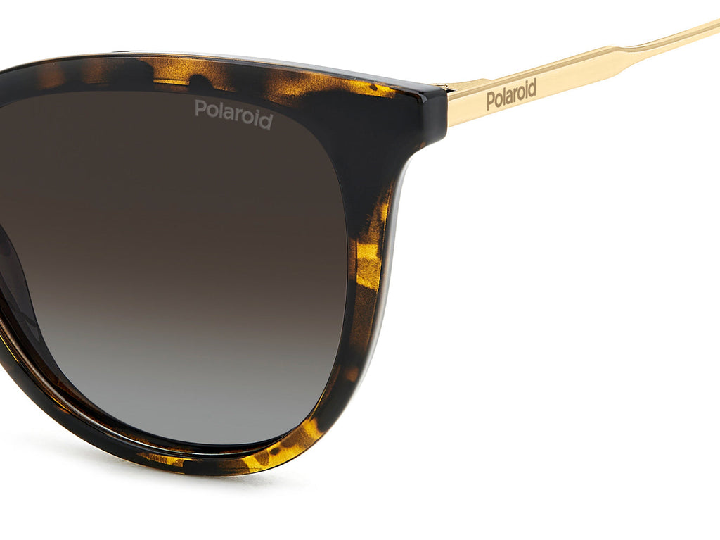 Polaroid PLD 4184/S/X
