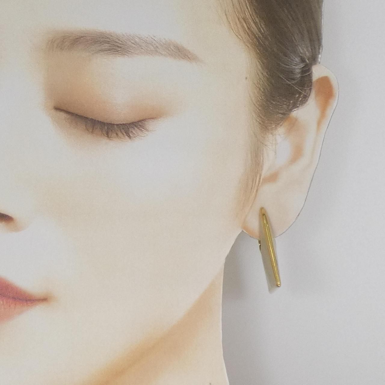 Bottega Veneta 925 Earrings