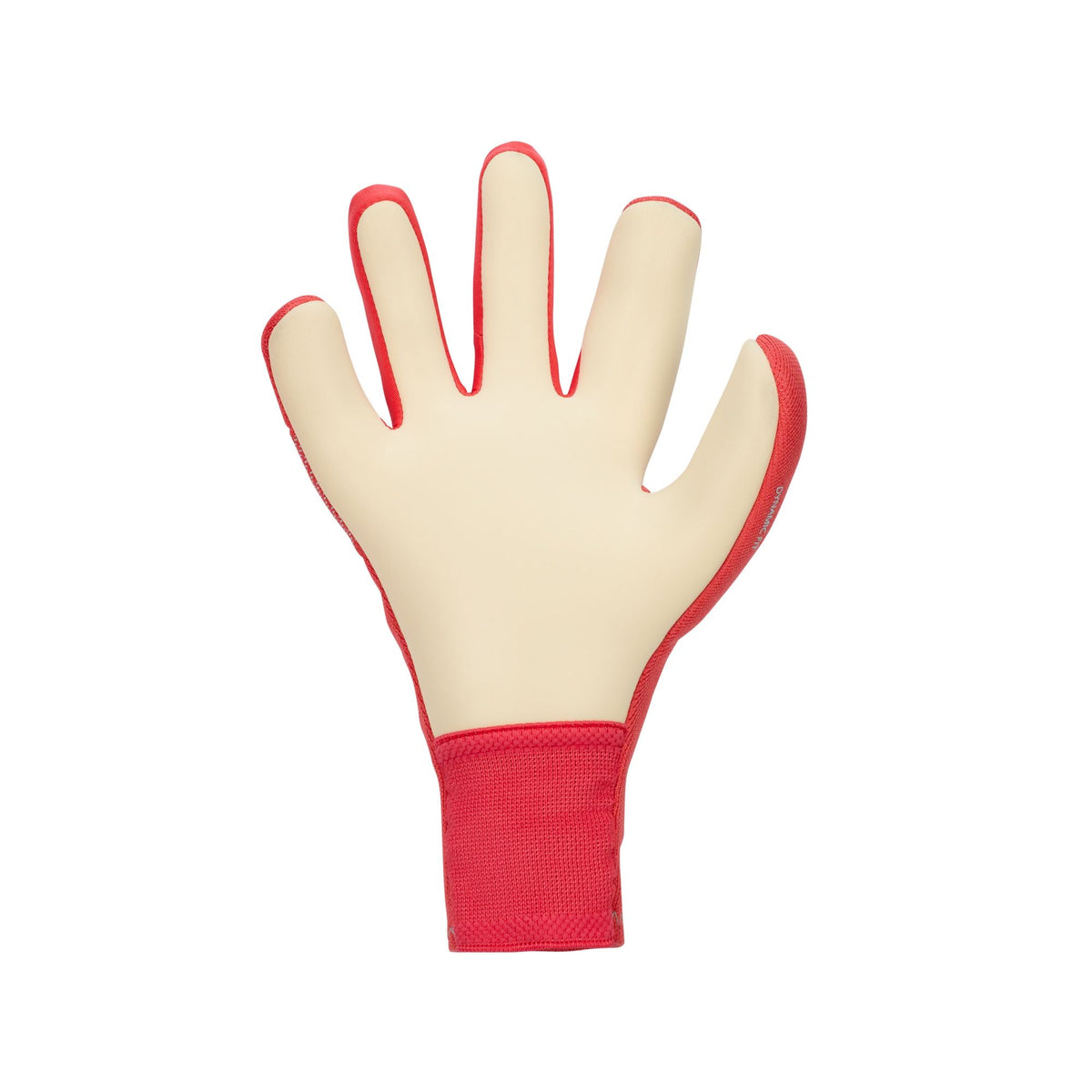 Nike Dynamic Fit Soccer Goalkeeper Gloves