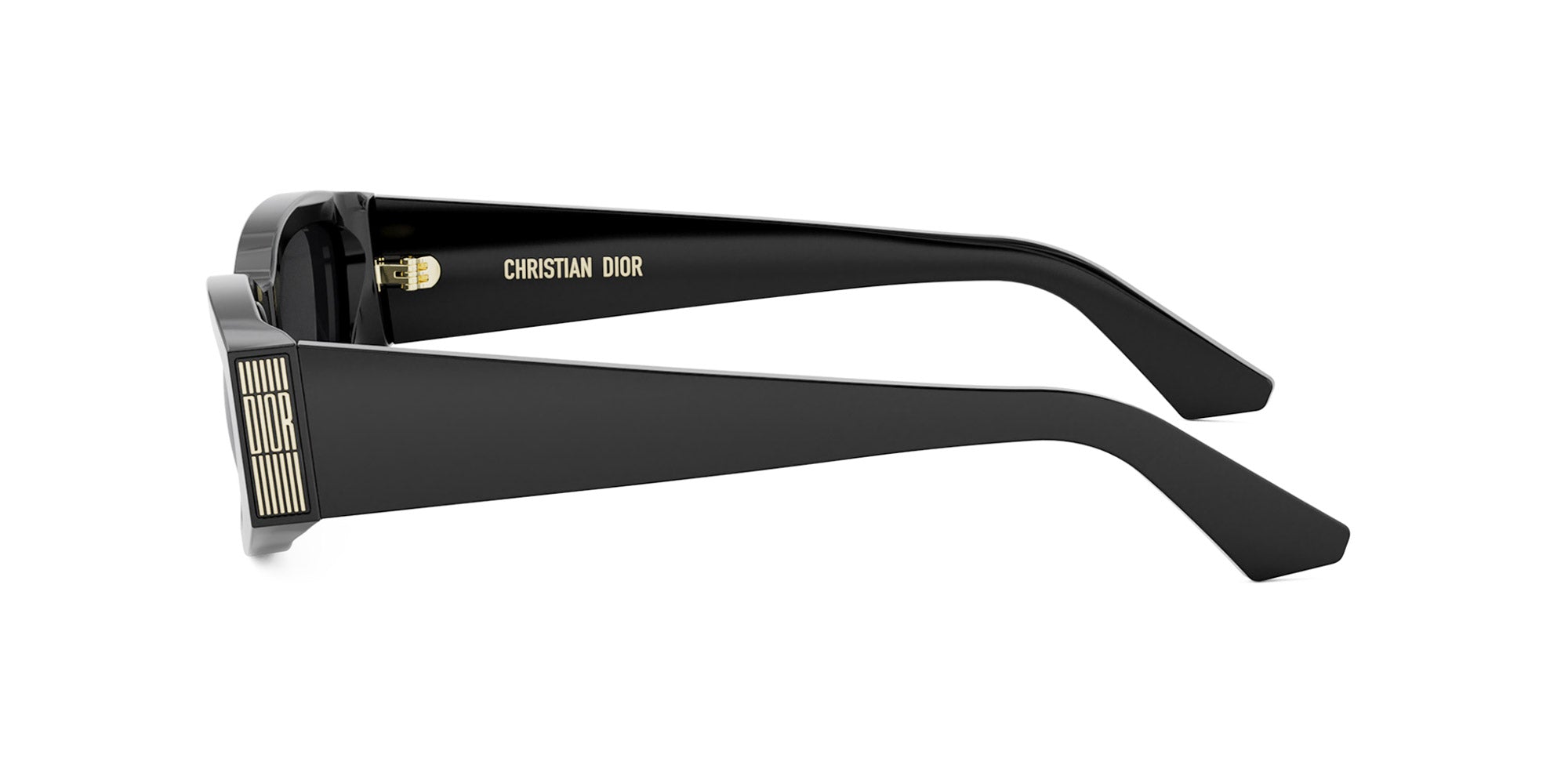 Dior Graphique S1I
