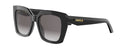 Dior Cdior S5I