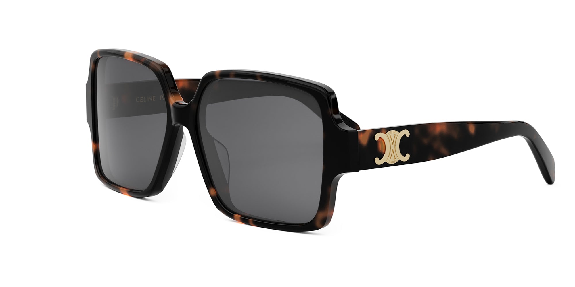 CELINE Triomphe CL40316U
