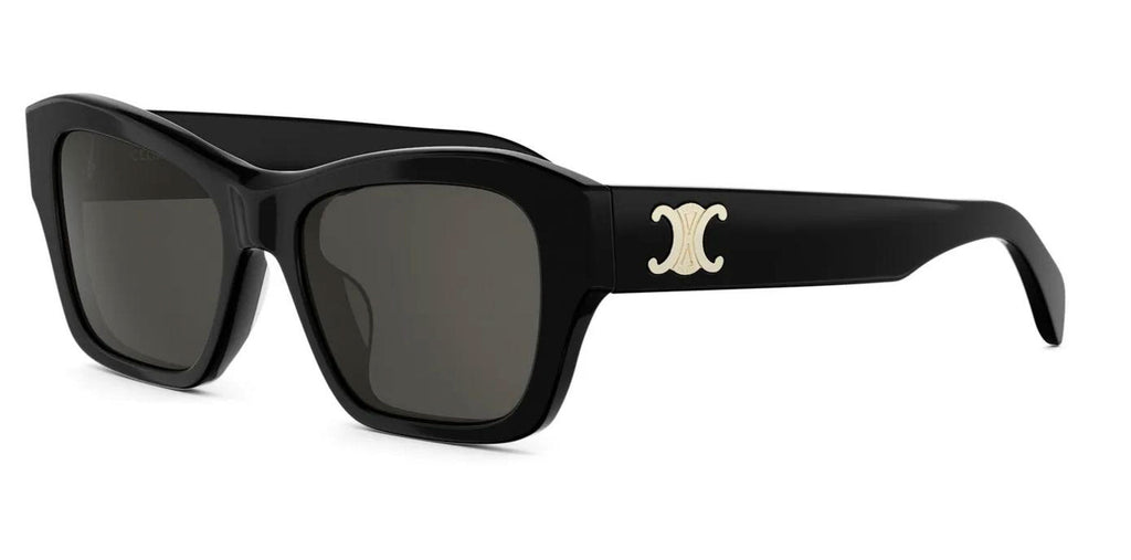 CELINE Triomphe CL40330U