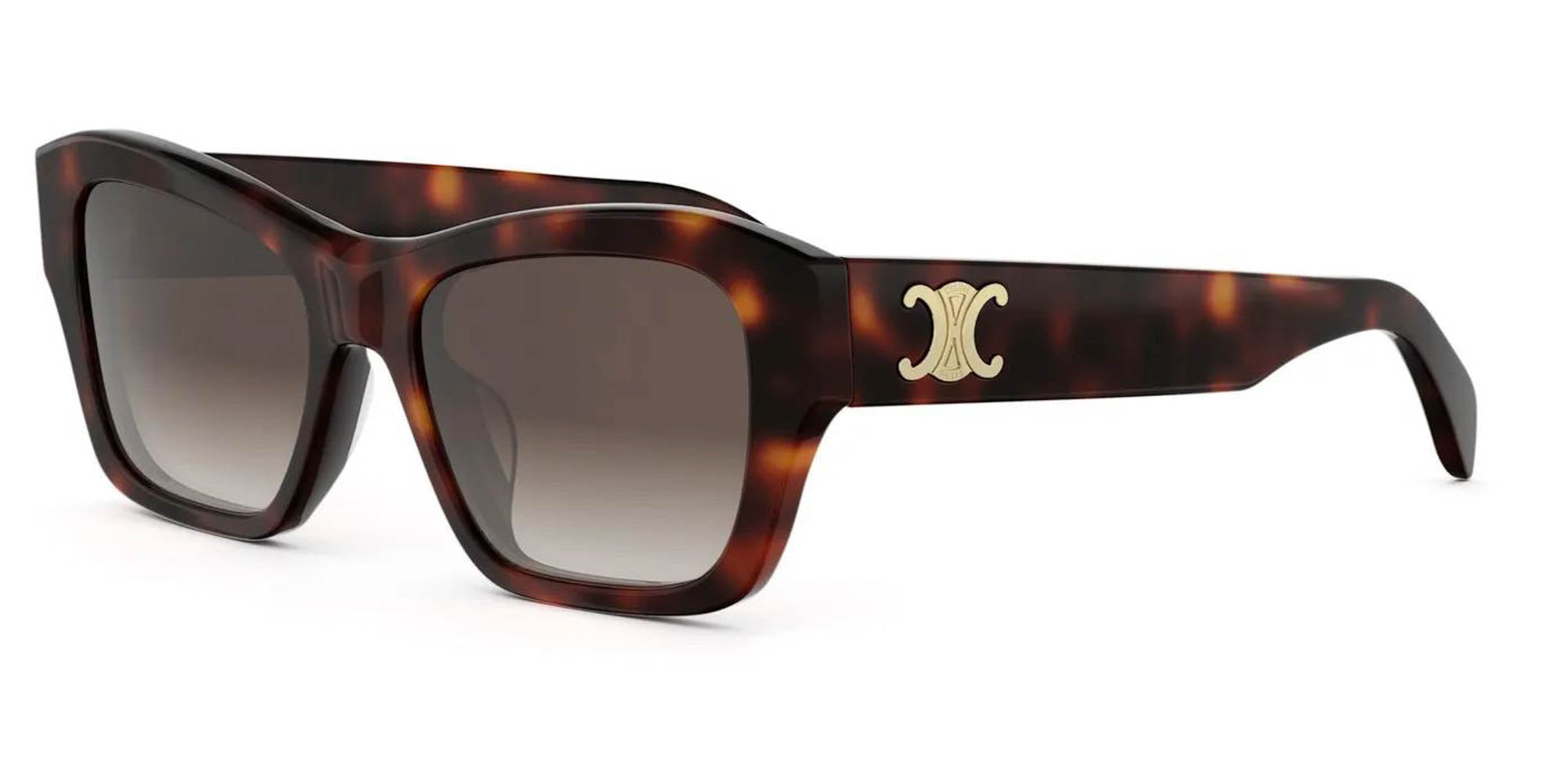 CELINE Triomphe CL40330U