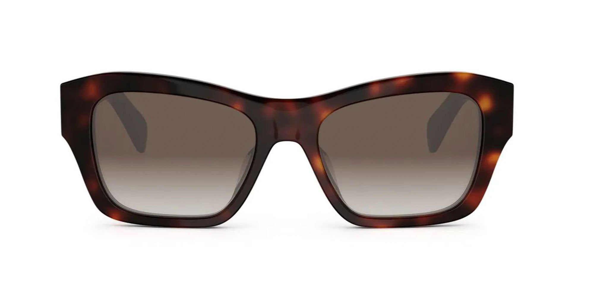 CELINE Triomphe CL40330U