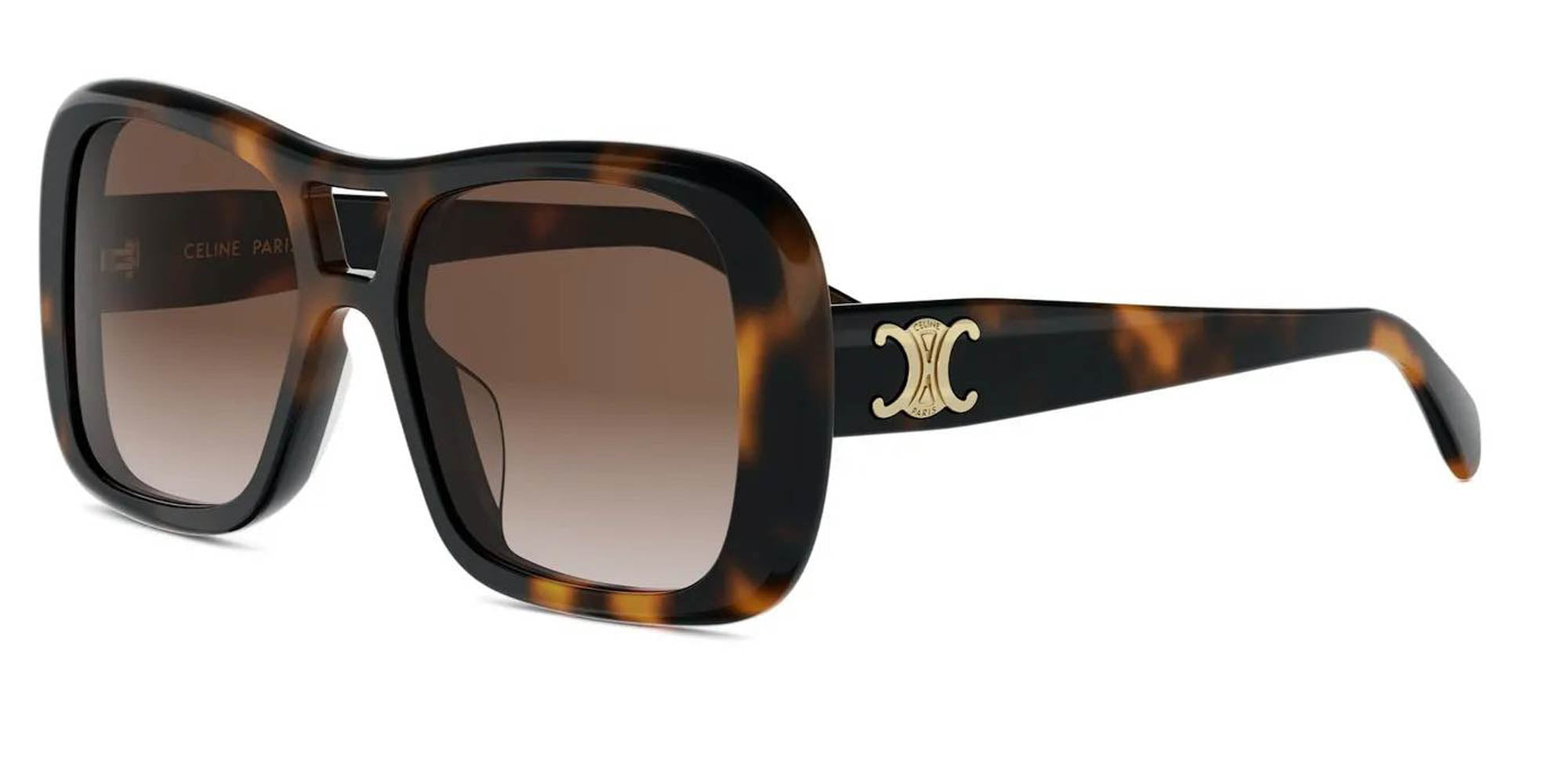 CELINE Triomphe CL40331U