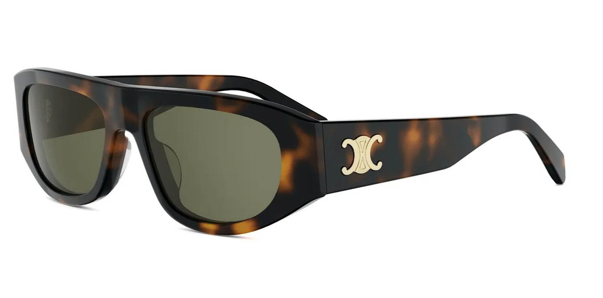 CELINE Triomphe CL40334U