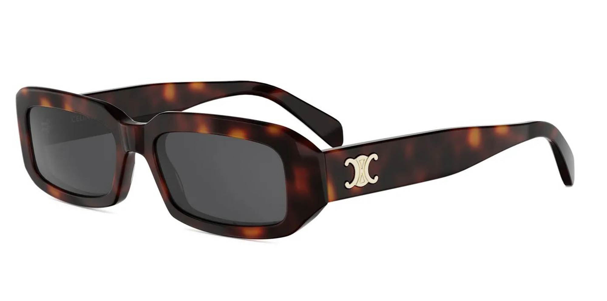 CELINE Triomphe CL40335I