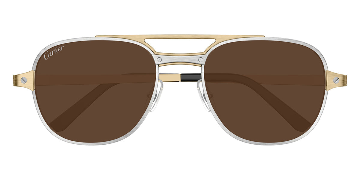Cartier CT0477S