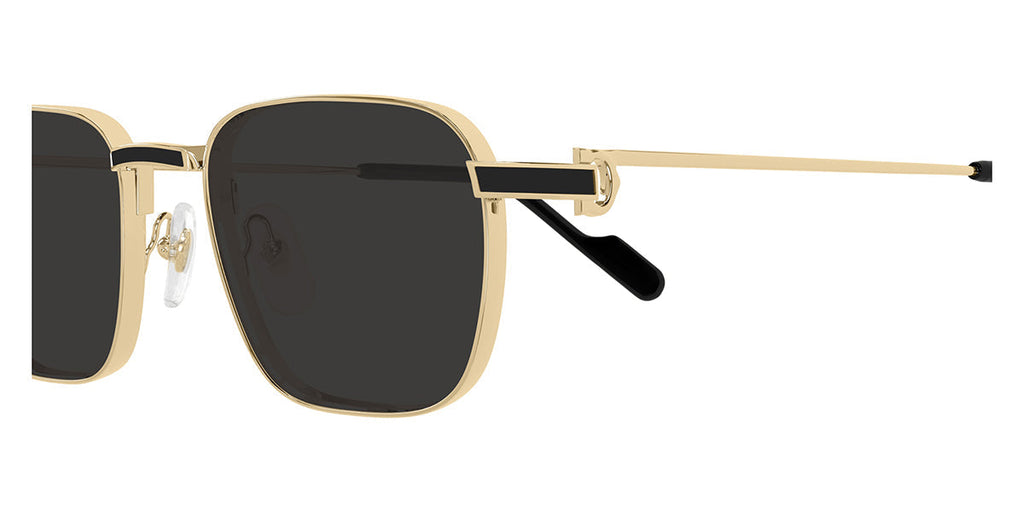 Cartier CT0497S