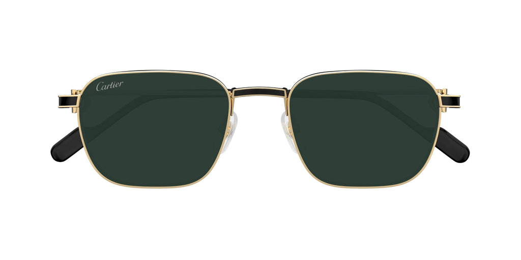Cartier CT0497S