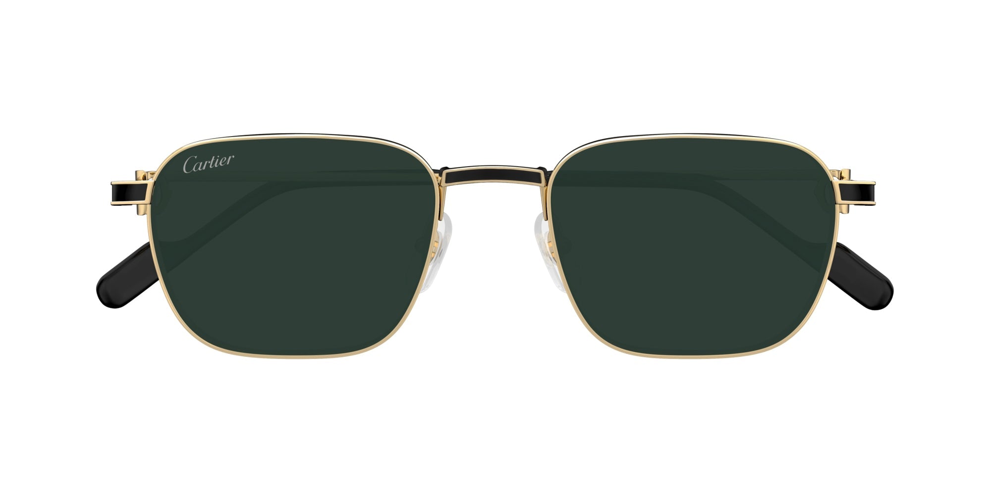 Cartier CT0497S