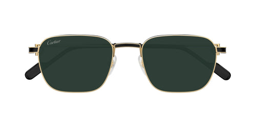 Cartier CT0497S