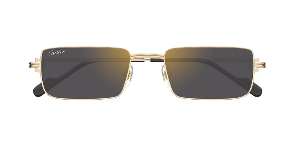 Cartier CT0501S