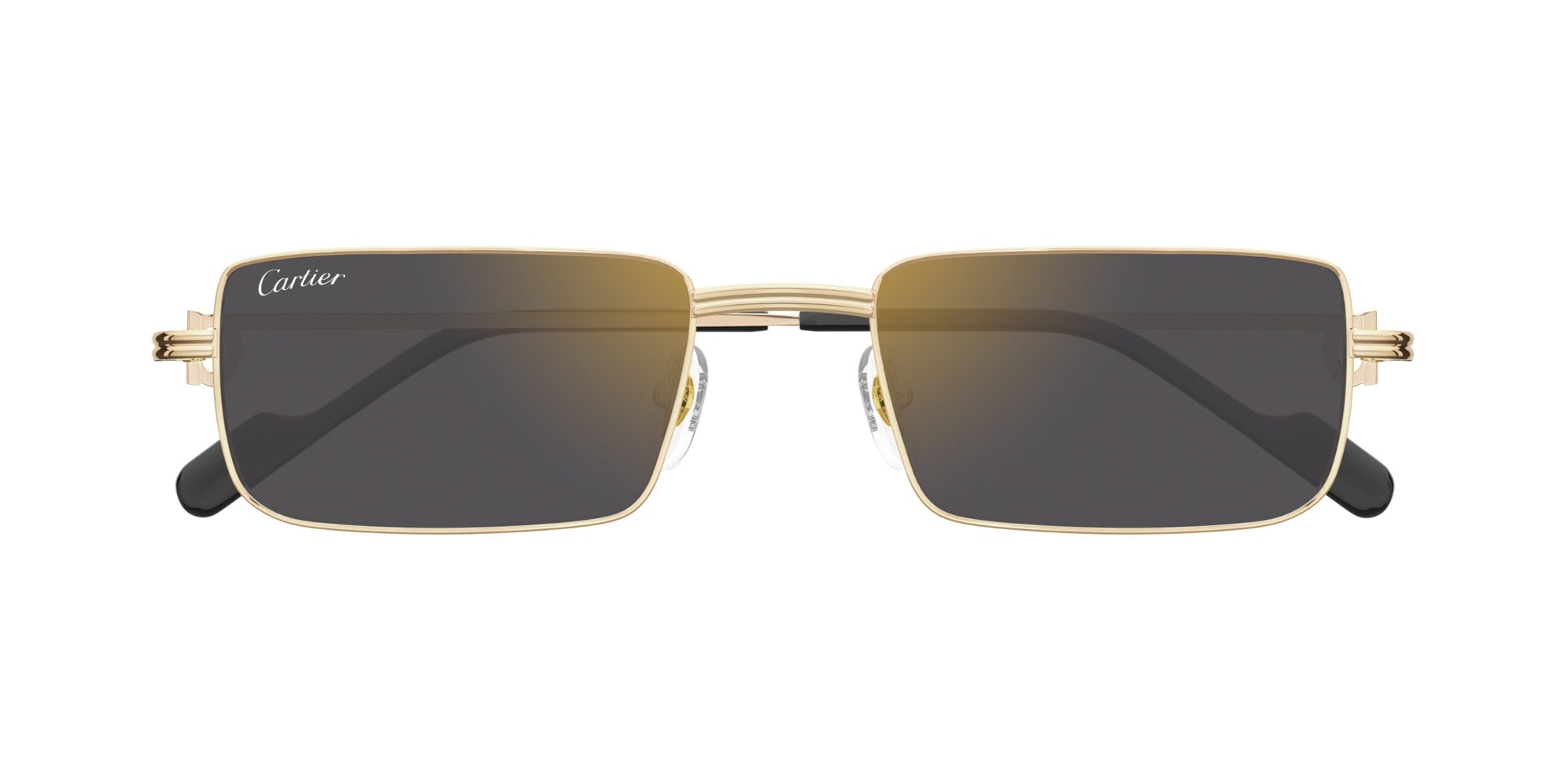 Cartier CT0501S