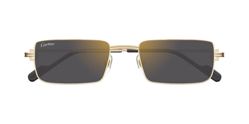 Cartier CT0501S