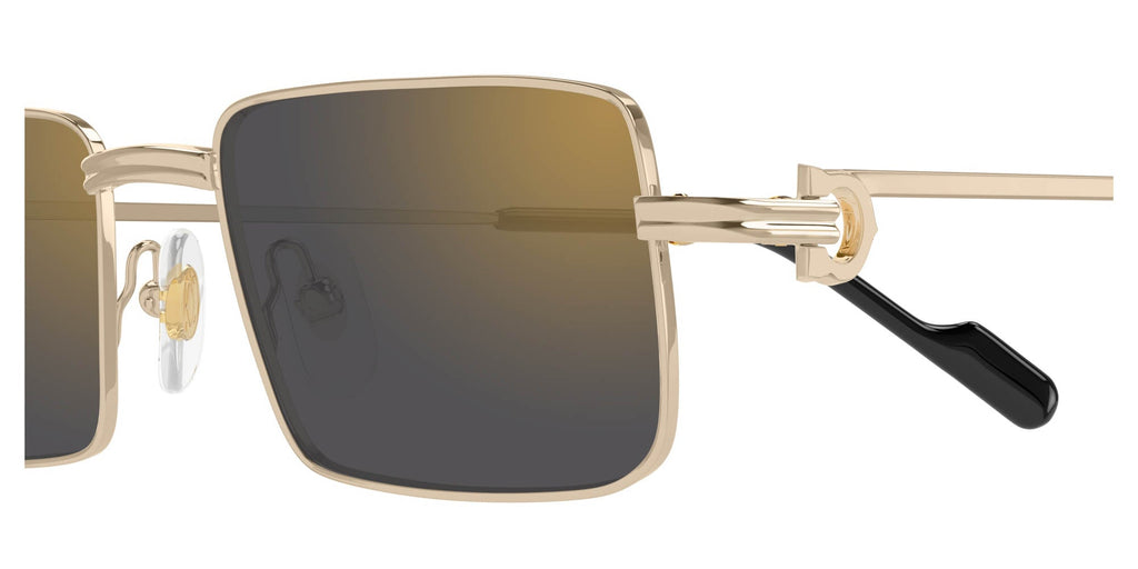Cartier CT0501S