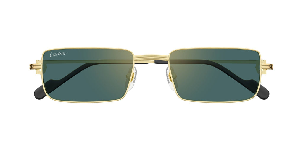 Cartier CT0501S