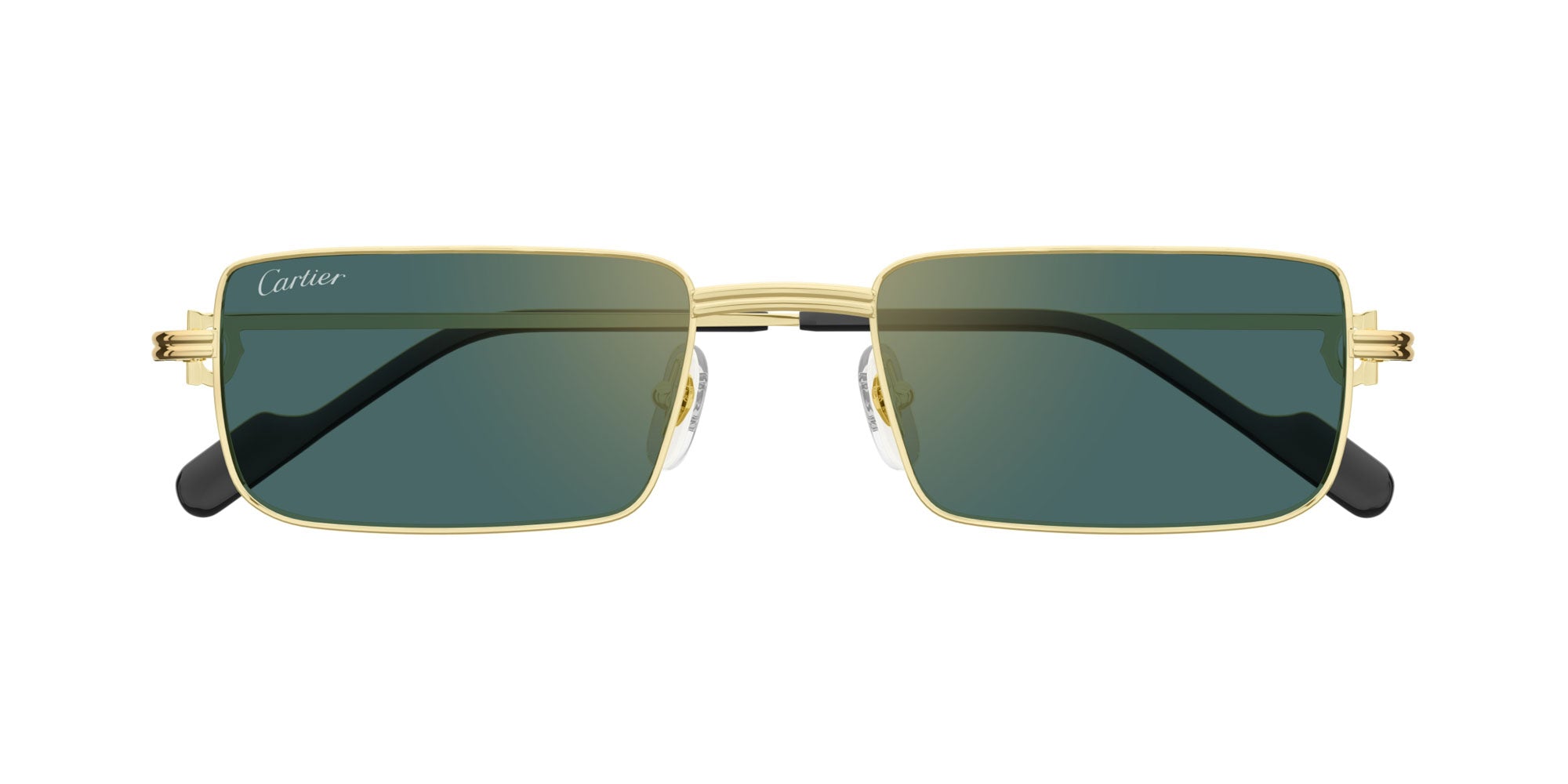 Cartier CT0501S