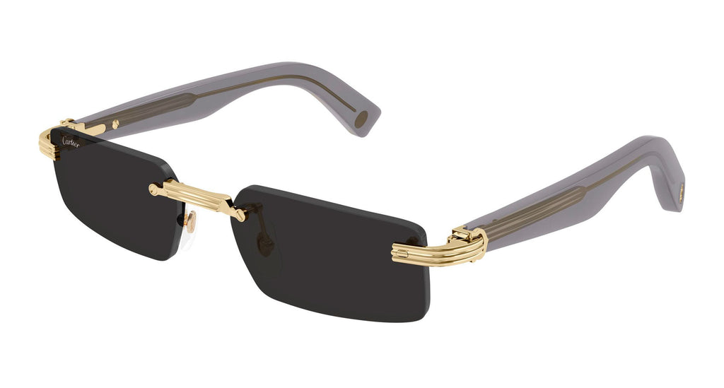Cartier CT0537S